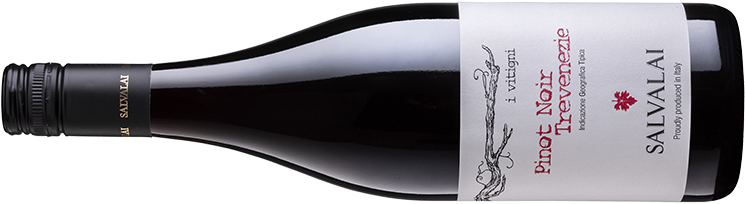 Pinot Noir Trevenezie IGT